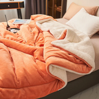 Sherpa Fleece Blanket Thick Warm Flannel Bed Blanket Double Sided Plush Throw Machine Washable Winter Blanket for Bedroom | Sofa