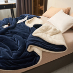 Sherpa Fleece Blanket Thick Warm Flannel Bed Blanket Double Sided Plush Throw Machine Washable Winter Blanket for Bedroom | Sofa