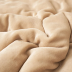 Sherpa Fleece Blanket Thick Warm Flannel Bed Blanket Double Sided Plush Throw Machine Washable Winter Blanket for Bedroom | Sofa