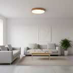 Minimalist Wood Flush Mount Ceiling Light With Round Shade