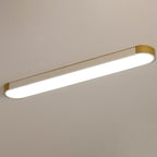 Modern Minimalist Long Oval LED Flush Mount Ceiling Light for Hallway