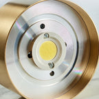 Modern Ultra Thin Copper LED Flush Mount Ceiling Light for Hallway