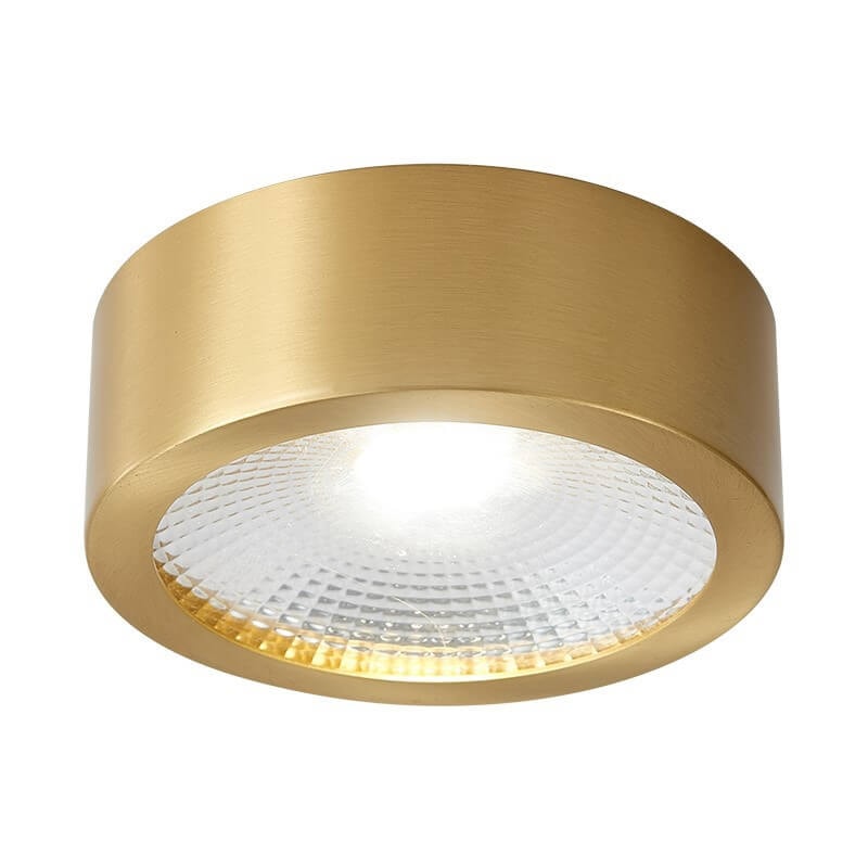 Modern Ultra Thin Copper LED Flush Mount Ceiling Light for Hallway