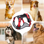 No Pull Dog Harness Set with Lead and LED Collar Light Reflective and Padded