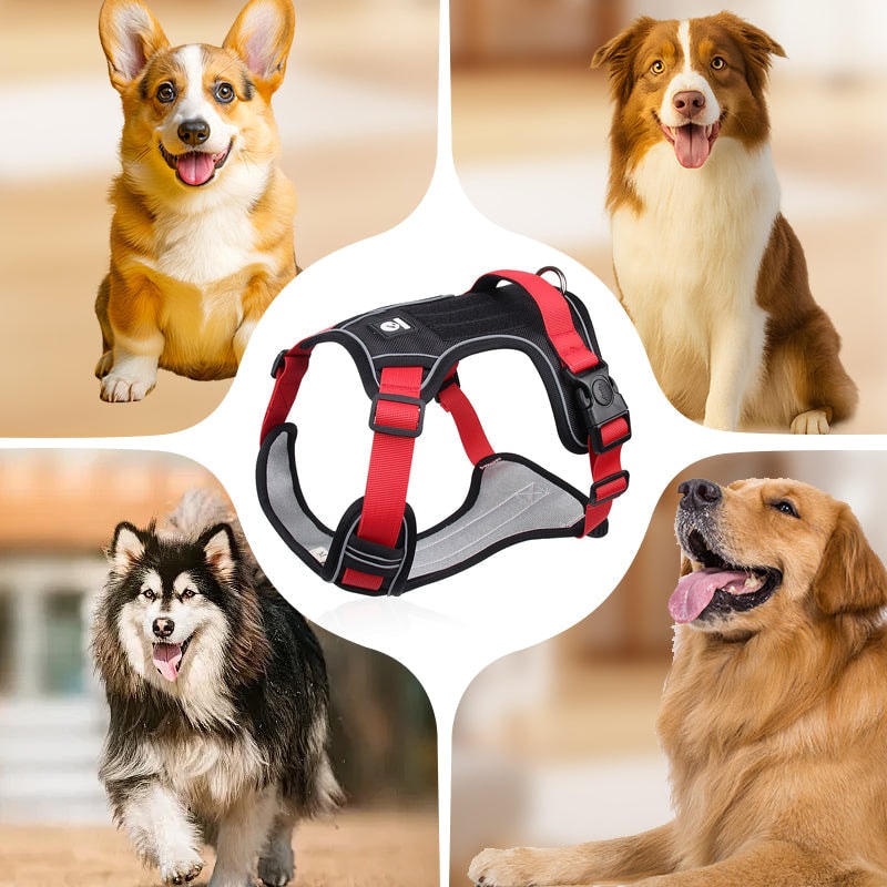 No Pull Dog Harness Set with Lead and LED Collar Light Reflective and Padded