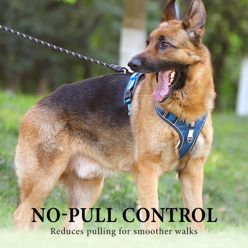 No Pull Dog Harness Set with Lead and LED Collar Light Reflective and Padded
