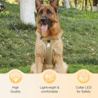 No Pull Dog Harness Set with Lead and LED Collar Light Reflective and Padded