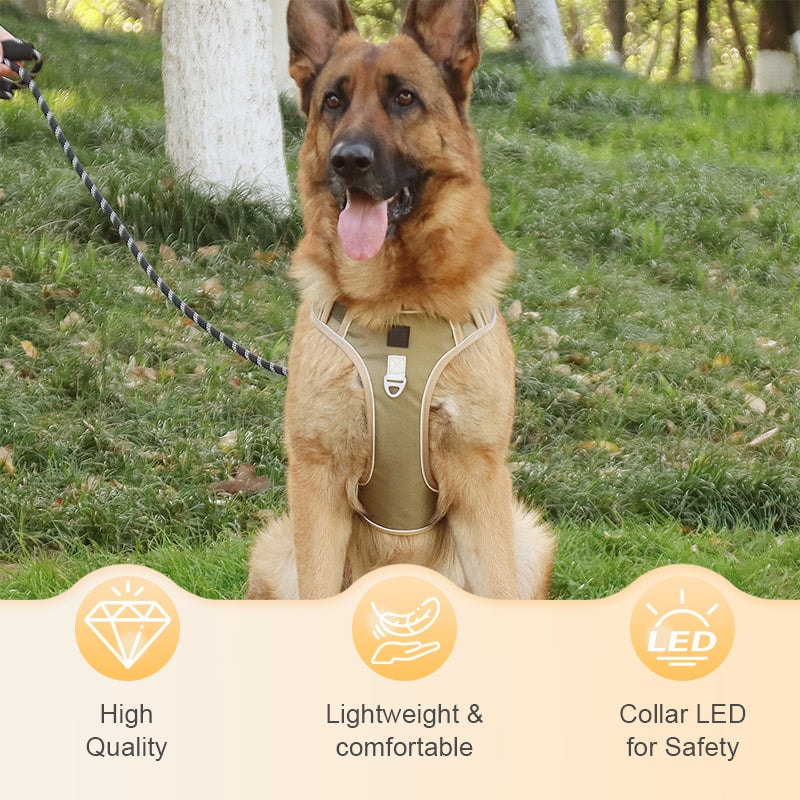 No Pull Dog Harness Set with Lead and LED Collar Light Reflective and Padded