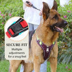 No Pull Dog Harness Set with Lead and LED Collar Light Reflective and Padded