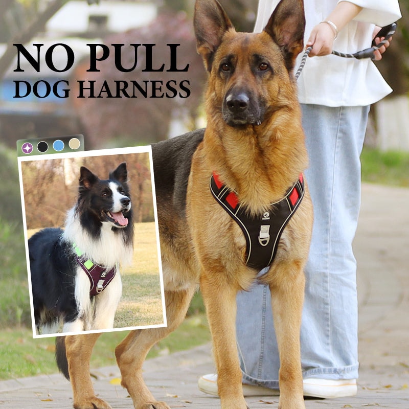 No Pull Dog Harness Set with Lead and LED Collar Light Reflective and Padded