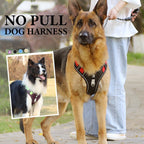 No Pull Dog Harness Set with Lead and LED Collar Light Reflective and Padded