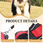 No Pull Dog Harness Set with Lead and LED Collar Light Reflective and Padded