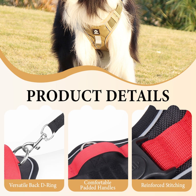 No Pull Dog Harness Set with Lead and LED Collar Light Reflective and Padded