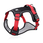 No Pull Dog Harness Set with Lead and LED Collar Light Reflective and Padded