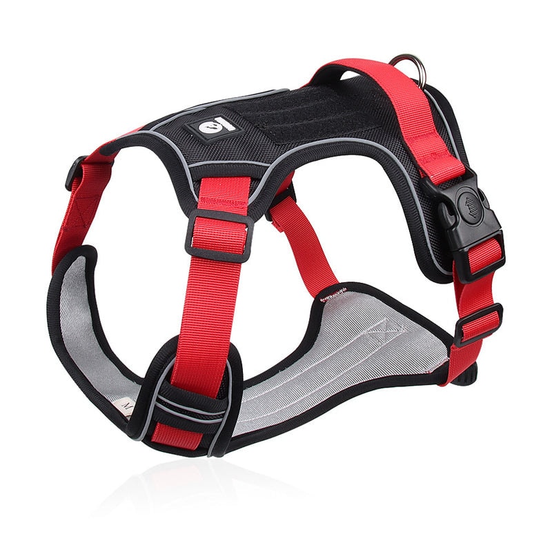 No Pull Dog Harness Set with Lead and LED Collar Light Reflective and Padded