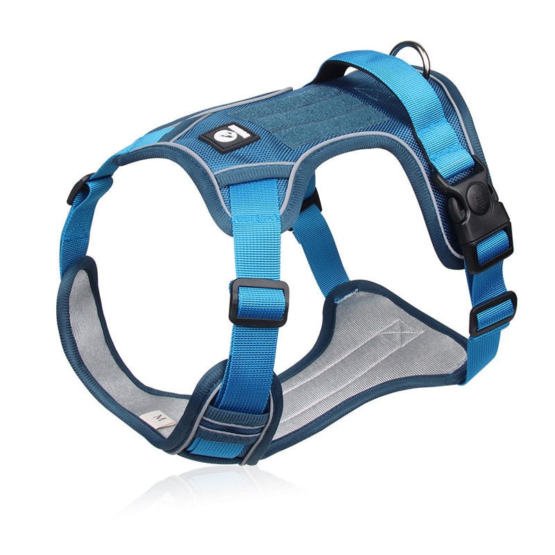 No Pull Dog Harness Set with Lead and LED Collar Light Reflective and Padded