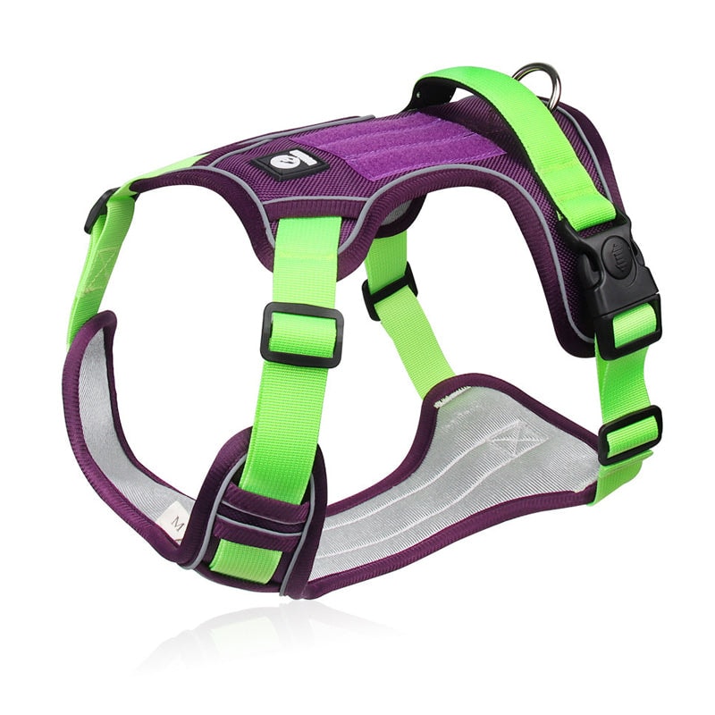 No Pull Dog Harness Set with Lead and LED Collar Light Reflective and Padded