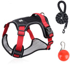No Pull Dog Harness Set with Lead and LED Collar Light Reflective and Padded