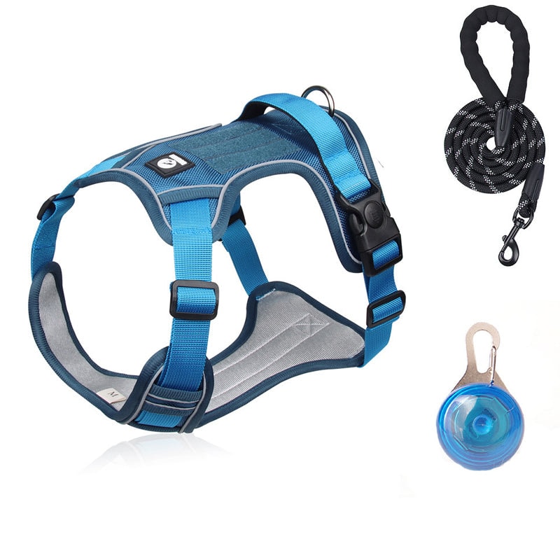 No Pull Dog Harness Set with Lead and LED Collar Light Reflective and Padded