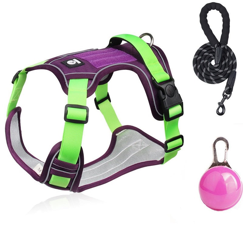 No Pull Dog Harness Set with Lead and LED Collar Light Reflective and Padded