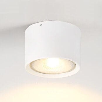 Nordic Cylinder LED Ceiling Spotlight Surface Mounted Downlight for Hallway