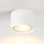 Nordic Cylinder LED Ceiling Spotlight Surface Mounted Downlight for Hallway