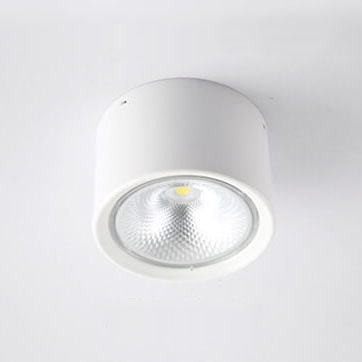 Nordic Cylinder LED Ceiling Spotlight Surface Mounted Downlight for Hallway