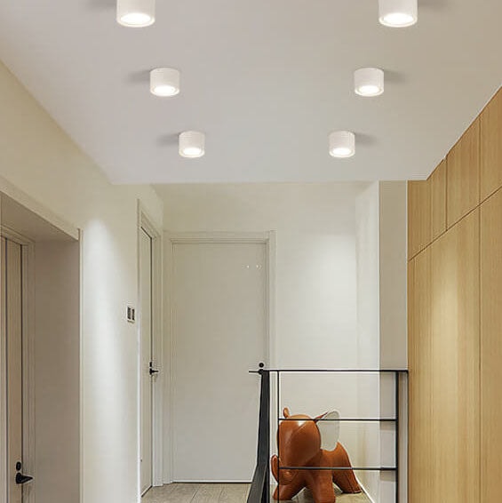 Nordic Cylinder LED Ceiling Spotlight Surface Mounted Downlight for Hallway