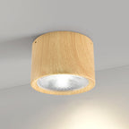 Nordic Cylinder LED Ceiling Spotlight Surface Mounted Downlight for Hallway