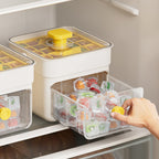 Press Release Ice Cube Tray with Lid and Ice Storage Box with Scoop