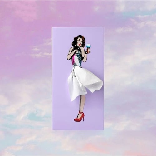 Retro Pin Up Tissue Box Cover Where the Tissue Becomes Her Skirt