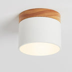 Scandinavian Macaron LED Flush Mount Ceiling Light with Wood Trim for Hallway