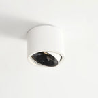 Surface Mounted LED Ceiling Spotlight with Adjustable Head for Living Room