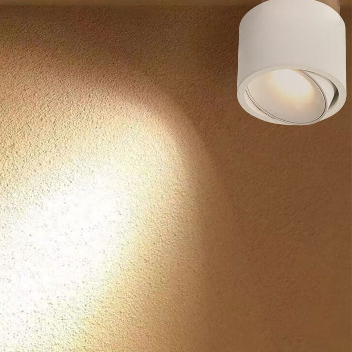 Surface Mounted LED Ceiling Spotlight with Adjustable Head for Living Room