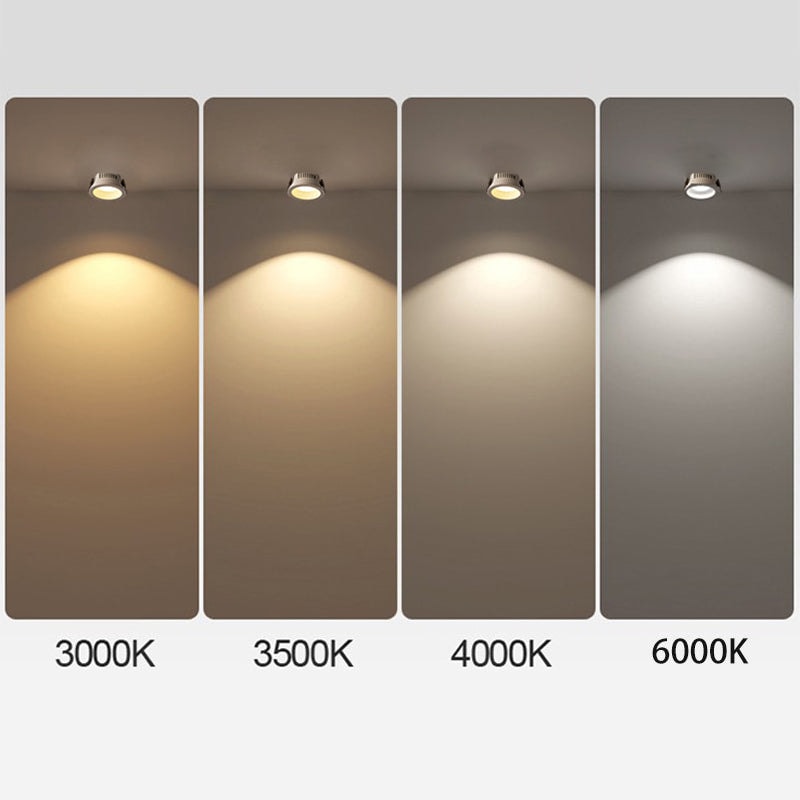 Surface Mounted LED Ceiling Spotlight with Adjustable Head for Living Room