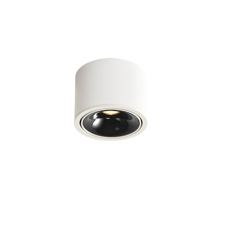 Surface Mounted LED Ceiling Spotlight with Adjustable Head for Living Room