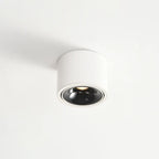 Surface Mounted LED Ceiling Spotlight with Adjustable Head for Living Room