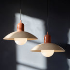 Two Tone Metal Pendant Light with Wide Dome Shade and Opal Globe for Dining Room